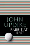 Rabbit at Rest synopsis, comments