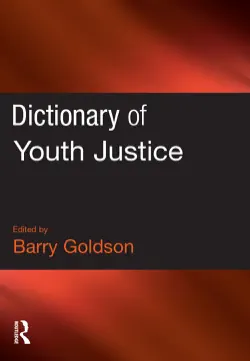dictionary of youth justice book cover image