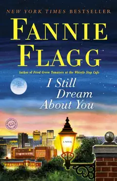 i still dream about you book cover image