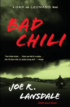 bad chili book cover image