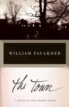 the town book cover image