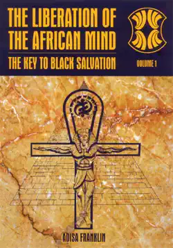 the liberation of the african mind book cover image