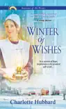 Winter of Wishes sinopsis y comentarios