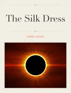 the silk dress imagen de la portada del libro