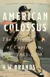 American Colossus sinopsis y comentarios