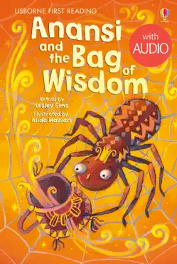 anansi and the bag of wisdom imagen de la portada del libro