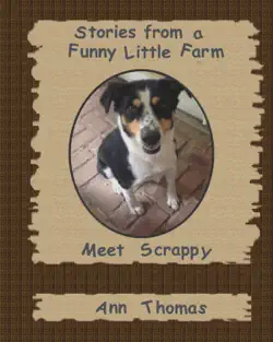 stories from a funny little farm: meet scrappy book cover image