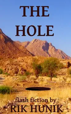 the hole book cover image