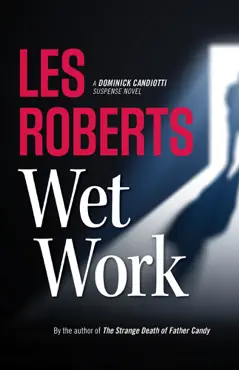 wet work book cover image