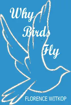 why birds fly book cover image