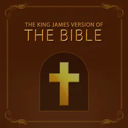 the king james version of the bible book cover image