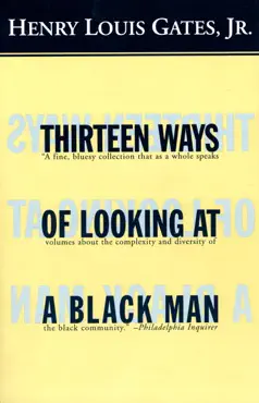 thirteen ways of looking at a black man book cover image