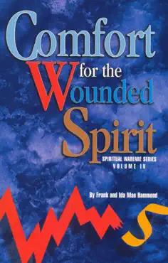comfort for the wounded spirit book cover image