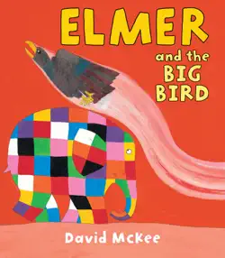 elmer and the big bird book cover image