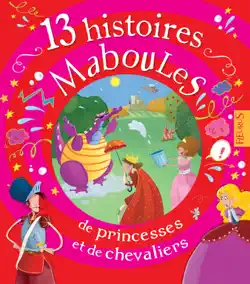 13 histoires maboules de princesses et de chevaliers book cover image
