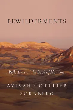 bewilderments book cover image