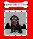 Jojo The One Eyed Puppy synopsis, comments
