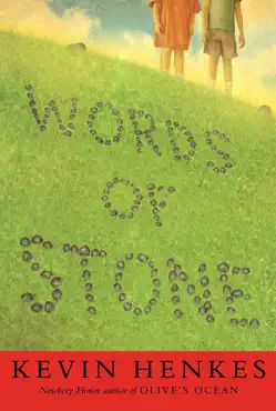 words of stone book cover image