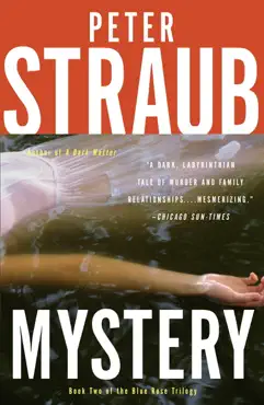 mystery book cover image