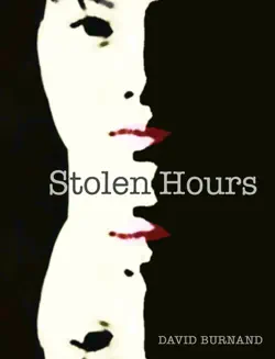 stolen hours book cover image