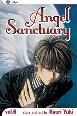 angel sanctuary, vol. 6 book cover image