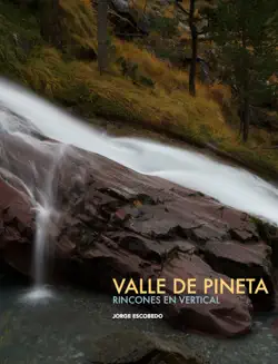 valle de pineta book cover image
