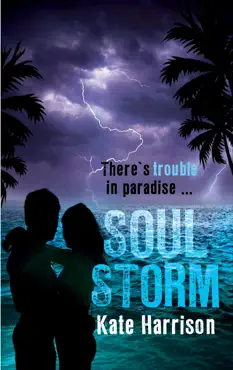 soul storm imagen de la portada del libro