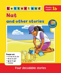 nat and other stories book cover image