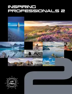inspiring professionals 2 book cover image