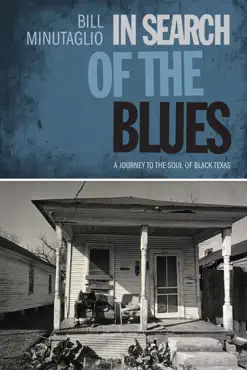 in search of the blues book cover image