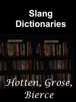 slang dictionaries book cover image