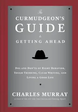 the curmudgeon's guide to getting ahead book cover image