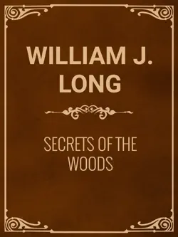 ways of wood folk imagen de la portada del libro