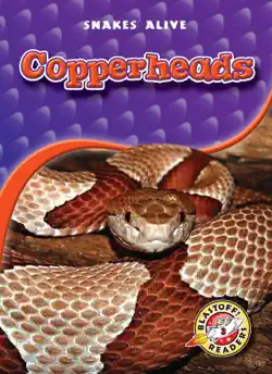 copperheads book cover image