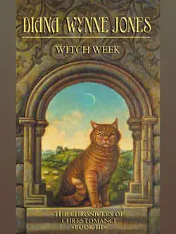 witch week book cover image
