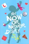 My Now or Never Diary synopsis, comments