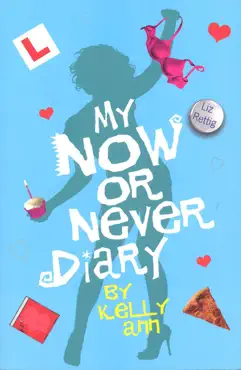 my now or never diary book cover image