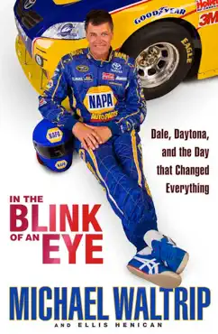 in the blink of an eye book cover image