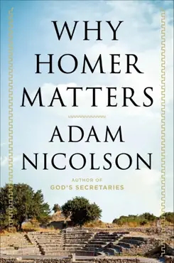 why homer matters book cover image