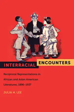 interracial encounters book cover image
