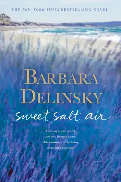 sweet salt air book cover image