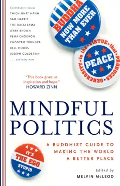 mindful politics book cover image