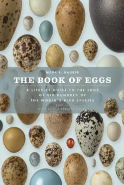 the book of eggs imagen de la portada del libro
