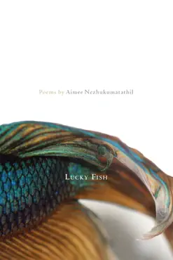 lucky fish book cover image