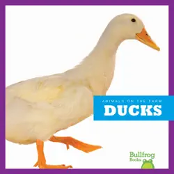 ducks book cover image
