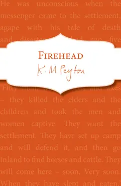 firehead book cover image