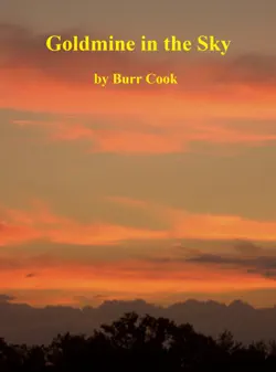 goldmine in the sky book cover image