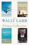 The Wally Lamb Fiction Collection synopsis, comments