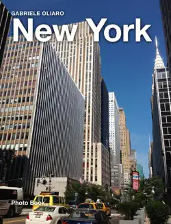 new york city book cover image