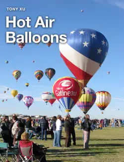 hot air balloons book cover image